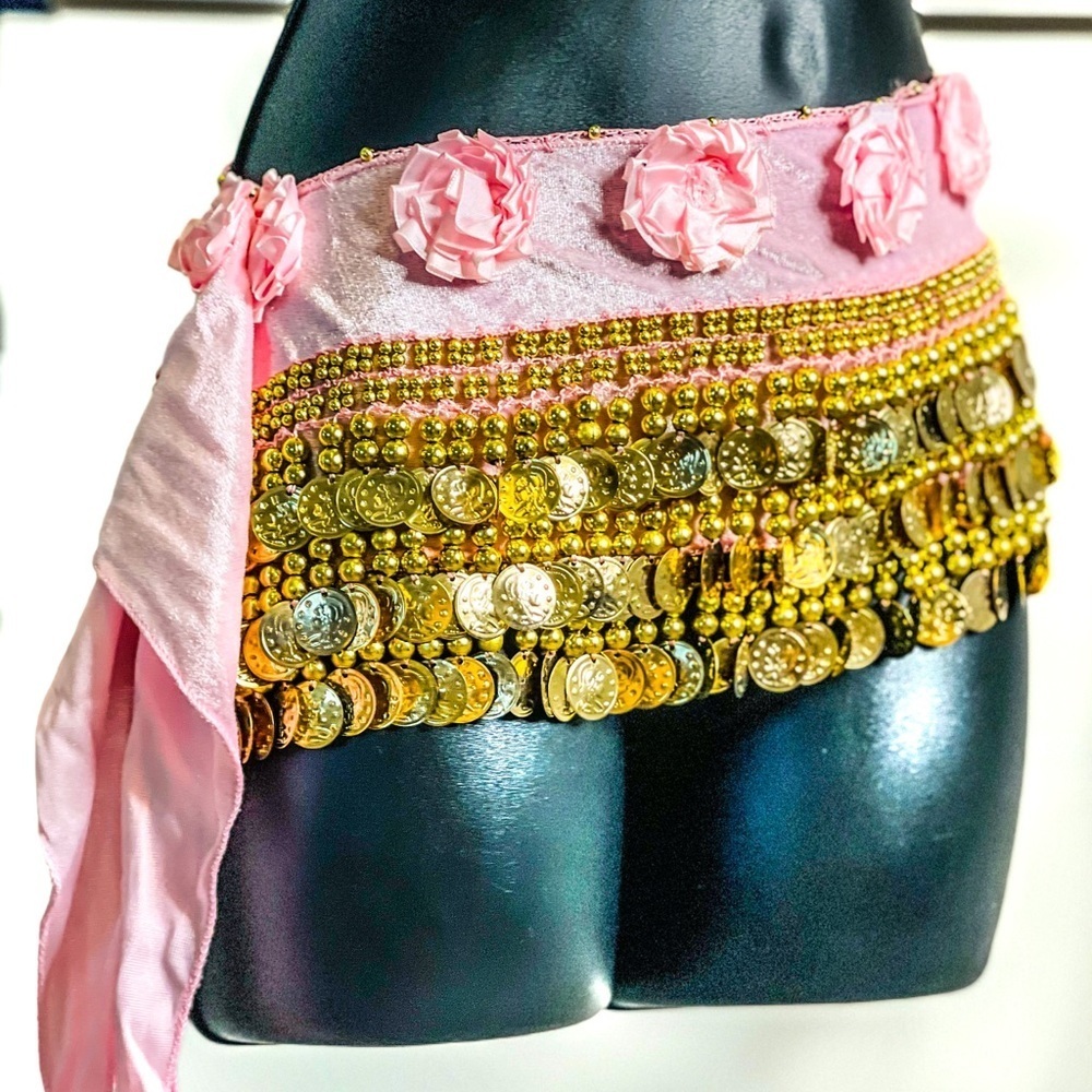 Belly Dance Skirt with Gold Coins and Rose Petals - Picture 2 of 8